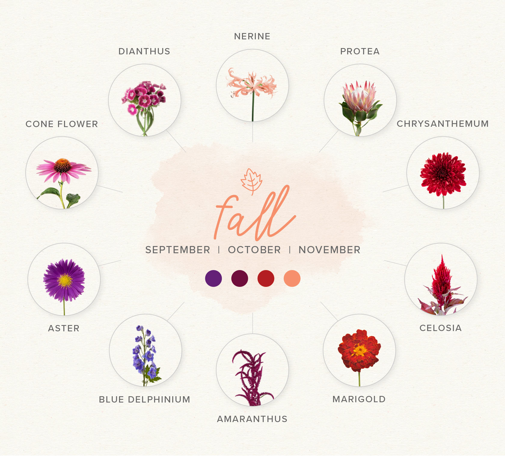 Fall wedding flowers guide 