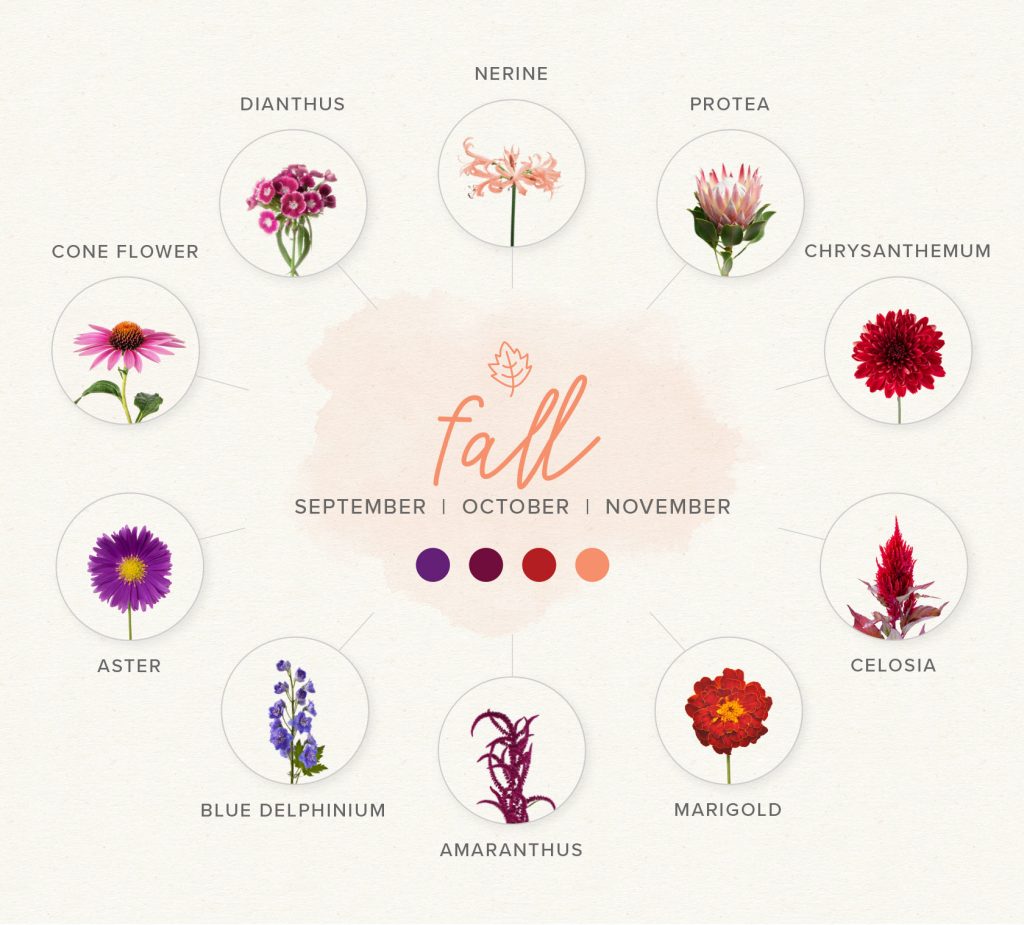 A Guide to Choosing Seasonal Blooms for Your Wedding Flowers