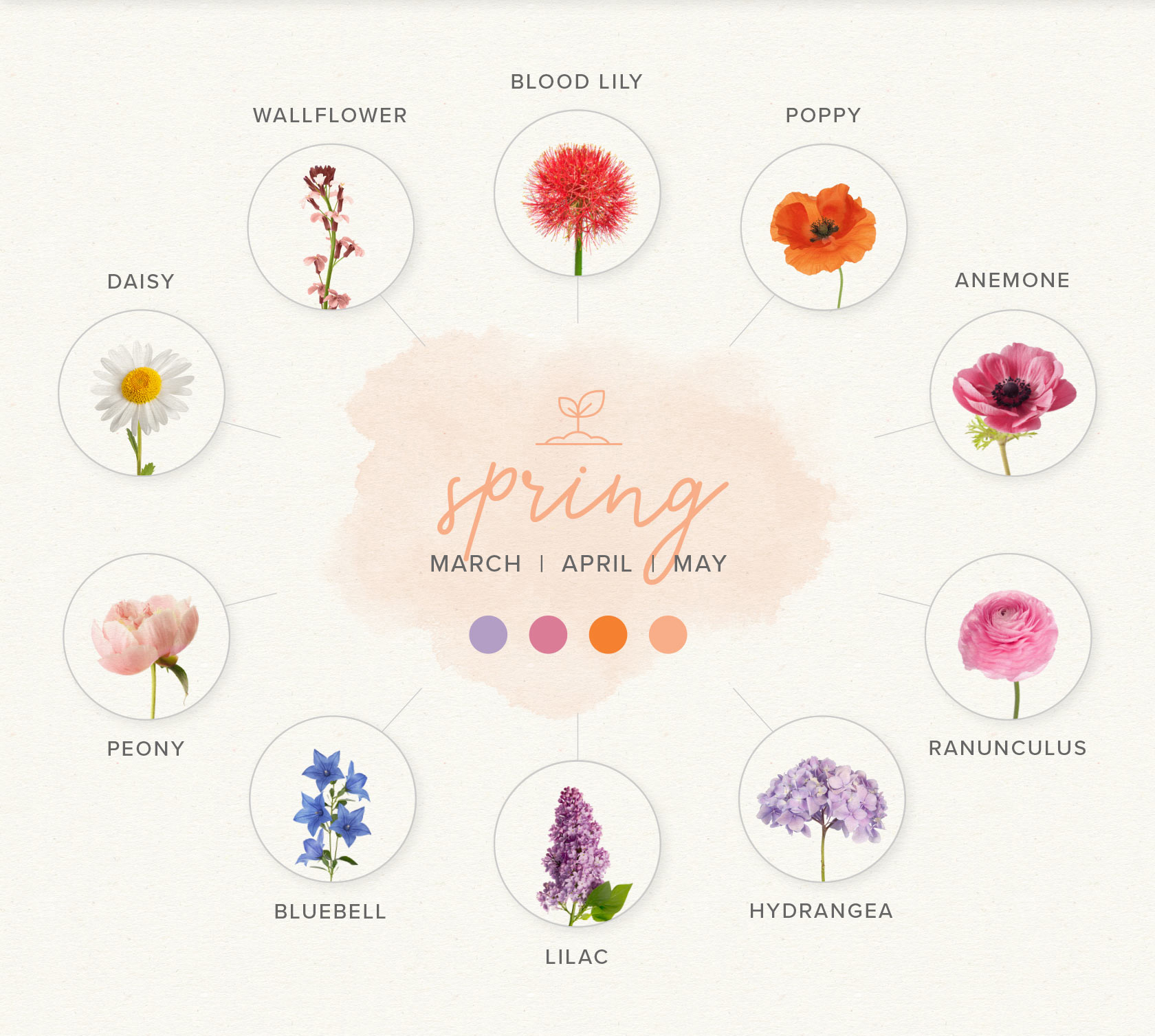 Spring wedding flowers guide 