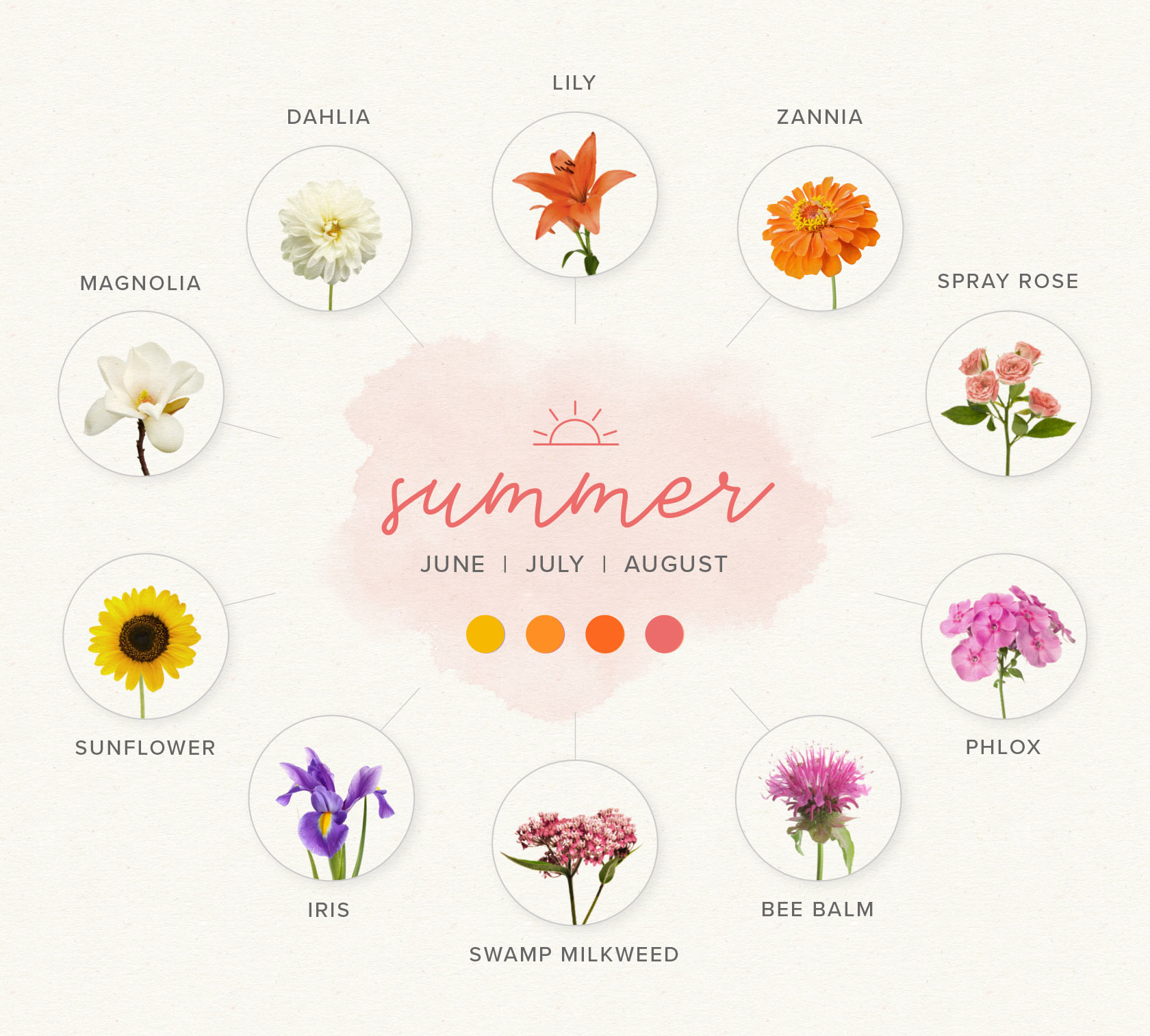 Summer wedding flowers guide 