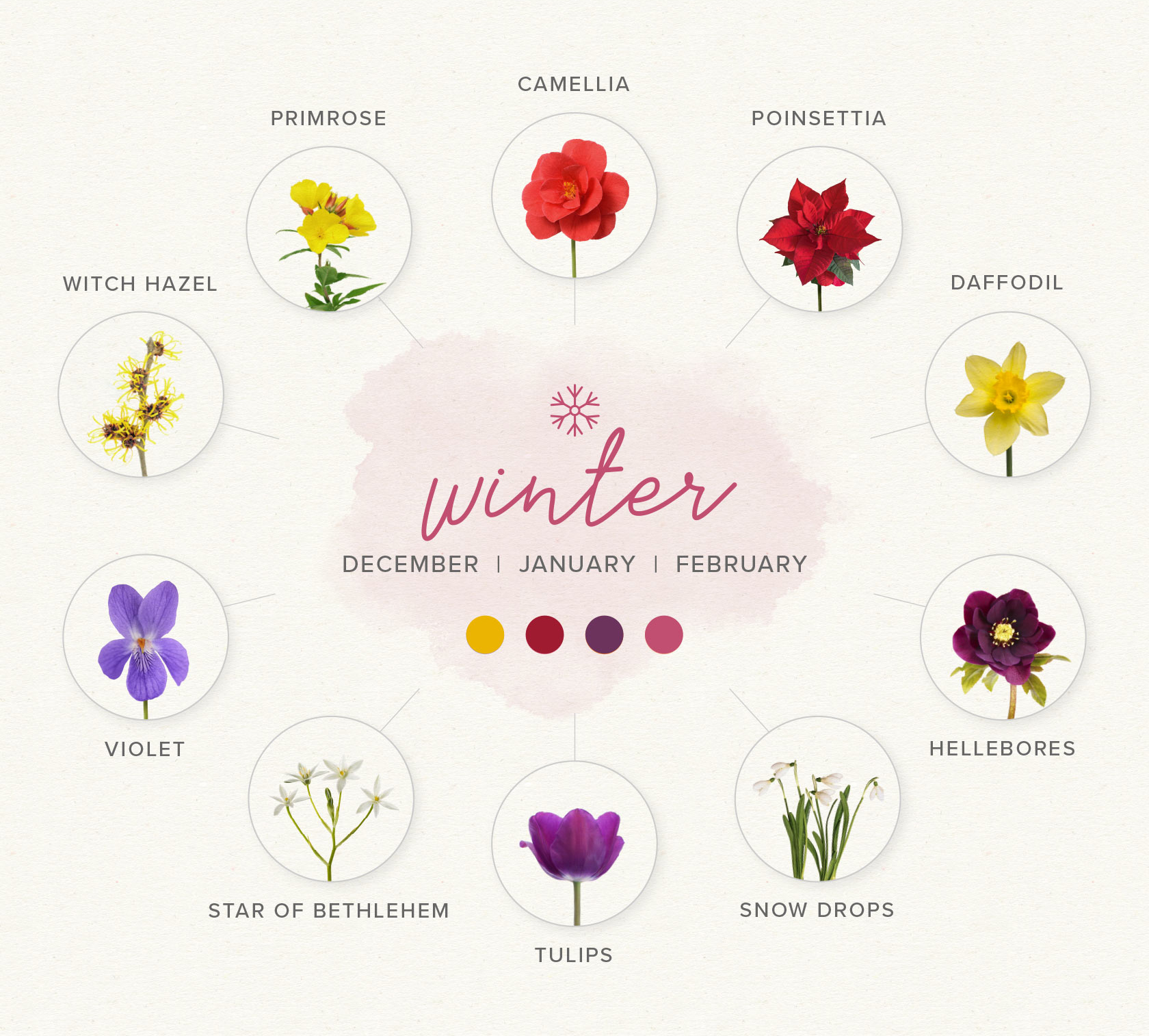 Winter wedding flowers guide 